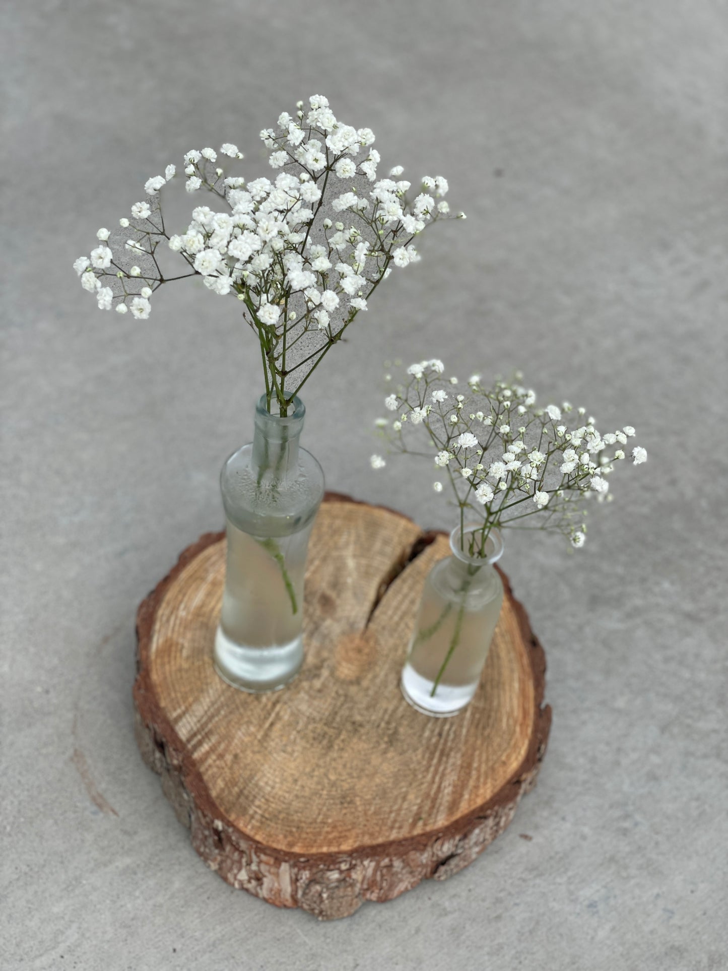 Wood Slices - Rental