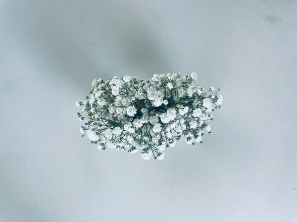 Baby's Breath Corsage