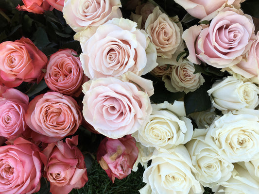 DIY Blushing Bride Wedding Flower Kit - Blushes & Blooms