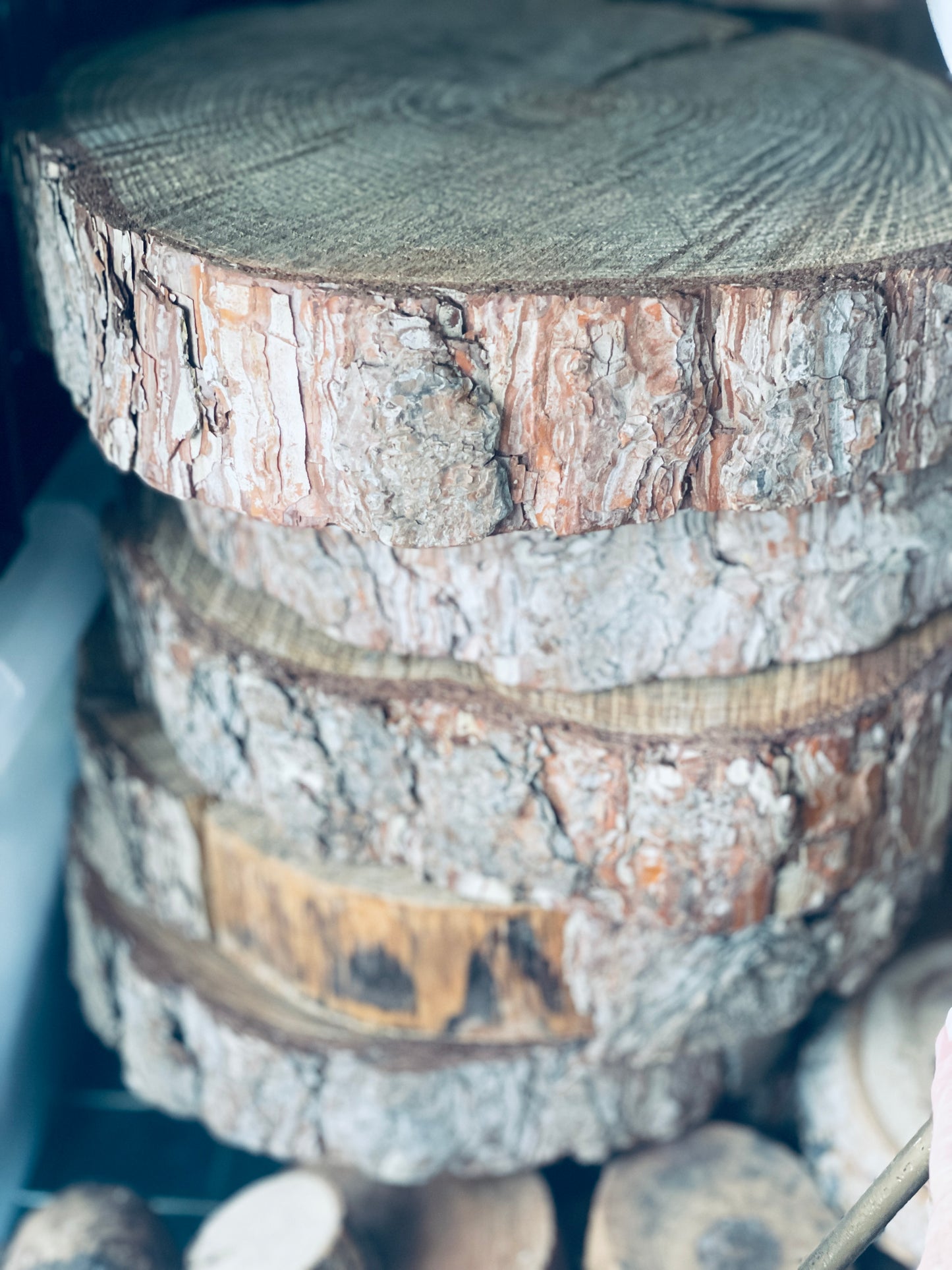 Wood Slices - Rental