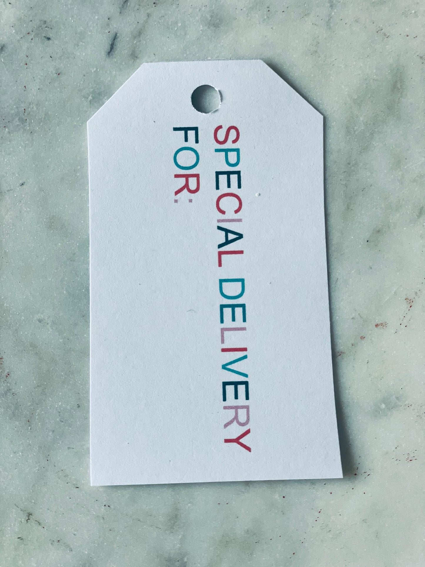 Holiday Gift Tag Bundle