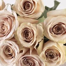 WRAPPED VALENTINE'S DAY BUNDLE 12 STEMS MIXED ROSES & GREENS - Blushes & Blooms